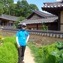 풍기인삼삼계탕 이미지