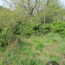 월현대산공원 이미지