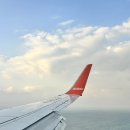 소노유외과의원 | [마쓰야마 여행] 마쓰야마 공항 무료 쿠폰, 교통편 총정리 (제주항공 셔틀버스 무료, 택시 요금) &amp; 우동...