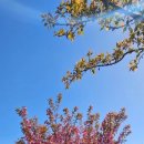 초록빛하루 이미지