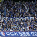 수원-1448 베스트일레븐