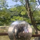 하늘아래수성별사랑캠프
