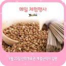 메밀꽃체육관 이미지