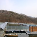 덕성낚시터 이미지