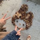 붕빵 이미지