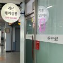 사파동156 이미지