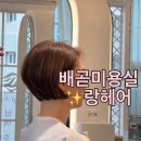 랑헤어 - 시흥시 서울대학로278번길 8 | 배곧동미용실 랑헤어, 깔끔 커트로 변신 성공✨