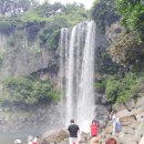 태선목장 | [제주도 여행 2박 3일 2일차] 정방폭포 + 박물관이살아있다 + 문빵9 + 우유부단 + 러브랜드 + 태선갈비]