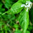 금은농장 이미지