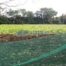 시흥리-4 이미지