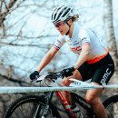 강기사 카 샵 이미지