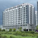 도미니클라바 이미지