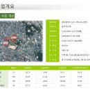 서동중학교 이미지