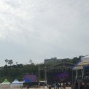 플라잉켈리 이미지