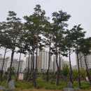 각산비나리공원 이미지