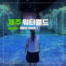 월드미디어 | 제주 워터월드 서귀포 물 미디어아트 이색놀거리 | 할인 준비물 복장 주차 총정리