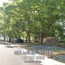 나무그늘 캠핑장, 충남 공주 선돌 느티나무 캠핑마을 후기