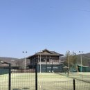 용인시립골드 테니스장 | 용인 수지 테니스장 “테니스센트럴” 방문후기 (프라이빗한 인조잔디 2면 코트)
