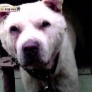 이종배농장 이미지