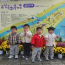 🌼🌼유림공원 국화축제 다녀왔어요♡ 이미지