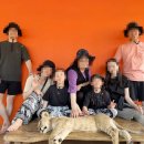 행복이 가득한 터 | 푸켓 아이랑 가볼만한 곳 귀여움 가득한 라이언랜드 가격 및 후기