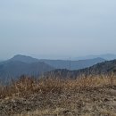 P021 이미지