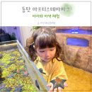 한조메디 | 동탄 아르티스테마파크 아이와 실내 동물원 체험