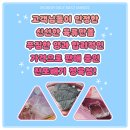 금강산정육점