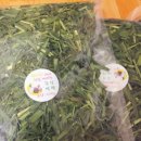 달나라 토끼농장 이미지