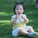 광지파크 이미지