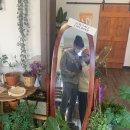 Calma(깔마) 이미지