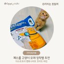 상시선별진료소 화장실 | 페스룸 고양이 모래 추천ㅣ더스트프리 벤토나이트 코티드 파인 정기배송 후기