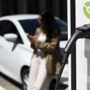 주정차76 이미지