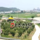 도장골천 이미지