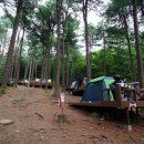 청태산자연휴양림 이미지