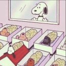 (주)노블아이 산후조리원 | 노블아이 산후조리원 내돈내산 솔직후기_13박 14일