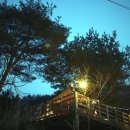 캠프오후4시 이미지