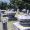 태실농장 이미지