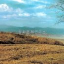 소라리 이미지