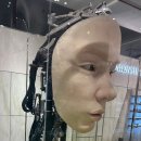 블로그몬스터 | [일상블로그] 젠틀몬스터 선글라스 도도 01 구매후기 (+신세계 백화점 센텀시티점)