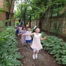 이동초등학교(병설) 이미지