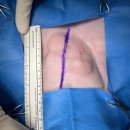 부곡동물병원 이미지