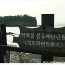 금강철새로마트 이미지