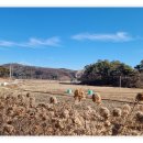 오동마을회관 이미지