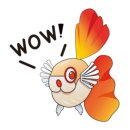 한국관상어협동조합 이미지