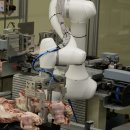 새신한목장 이미지