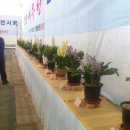 솔샘세차장 이미지