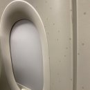 신동로 | [제주sk vs 수원삼성] 승강 플레이오프 2차전 후기!! 힘을 내라 수원(팬분들)