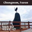 학암포 분점도 | 태안 겨울여행 태안해변길 학암포항 학암포 어촌계 주차장 이용