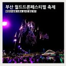 드론공원 | 부산 월드드론페스티벌 축제 북항친수공원 드론쇼 중단 후기